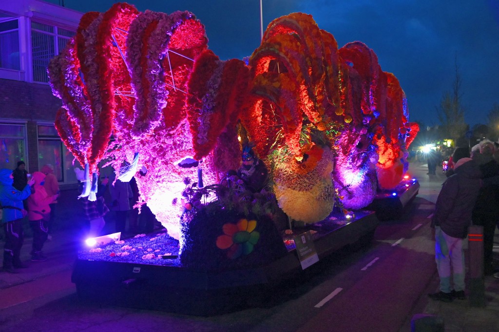 ../Images/Verlicht bloemencorso 2024 041.jpg